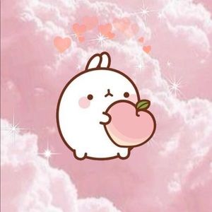 Meet your Posher, Kailey